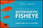 Международный фотоконкурс Fisheye (13 Кб)