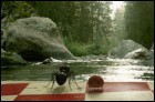 Букашки. Приключения в Долине муравьев (3D) (31 Кб)