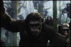 Планета обезьян: Революция (3D) (18 Кб)