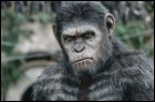 Планета обезьян: Революция (3D) (24 Кб)