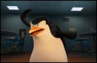 Пингвины Мадагаскара (3D) (16 Кб)