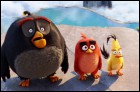 Angry Birds в кино (3D) (51 Кб)