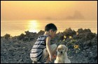 Рокку: Остров моей собаки (67 Кб)