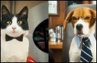 Кошки против собак: Месть Китти Галор (3D)