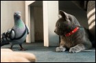 Кошки против собак: Месть Китти Галор (3D) (54 Кб)