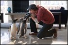 Пингвины мистера Поппера (17 Кб)