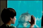 История дельфина (3D) (11 Кб)