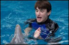 История дельфина 2 (35 Кб)