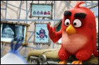 Angry Birds в кино (3D) (62 Кб)
