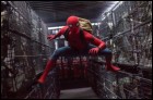 Человек-паук: Возвращение домой (2D) (83 Кб)