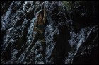 Tomb Raider: Лара Крофт (3D) (99 Кб)