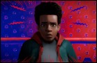 Человек-паук: Через вселенные (3D) (48 Кб)