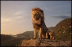 Король Лев (3D) (46 Кб)
