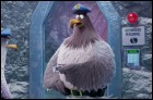 Angry Birds 2 в кино (3D) (80 Кб)