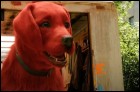 Большой красный пес Клиффорд (55 Кб)