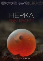 Постер Нерка. Рыба красная (47 Кб)